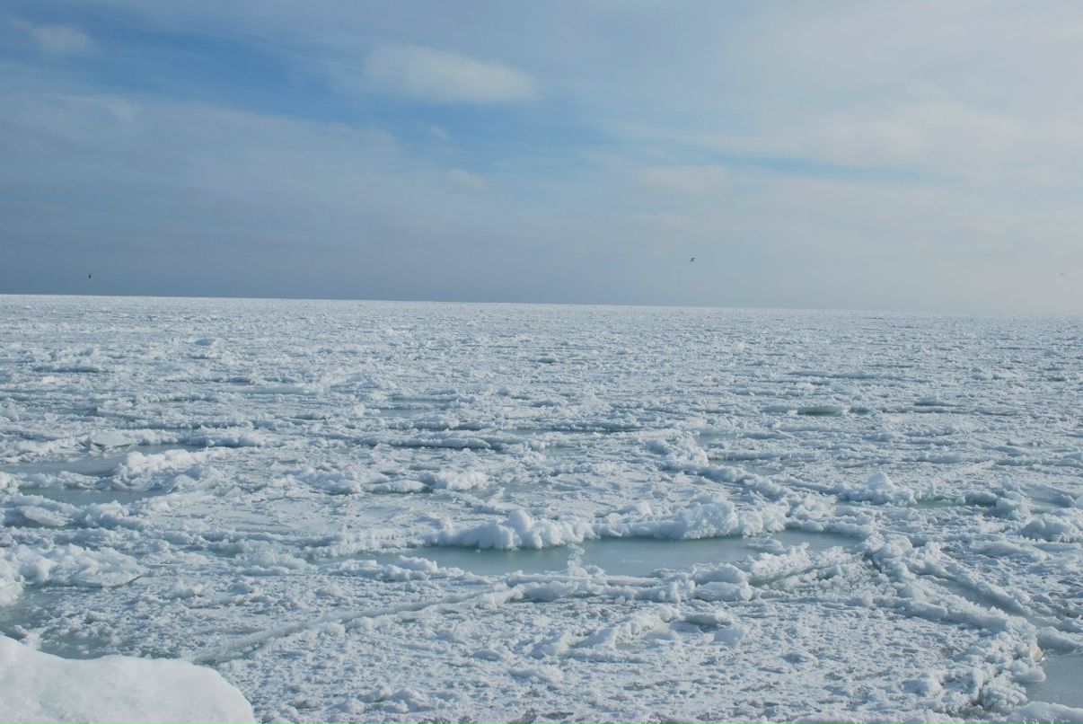Ольга Шевчук | Киев
