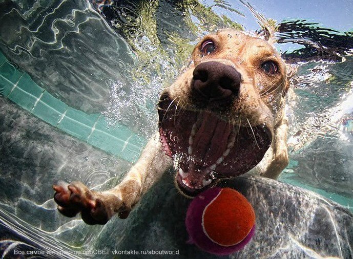 Диана Шалагаева | Апатиты