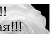 Кристина Петраш | Запорожье