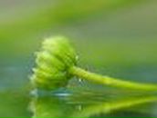 Татьяна Фещенко | Краснодар