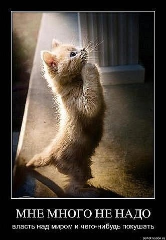 Дима Матюхин <<<Black Wolf>>> | Липецк