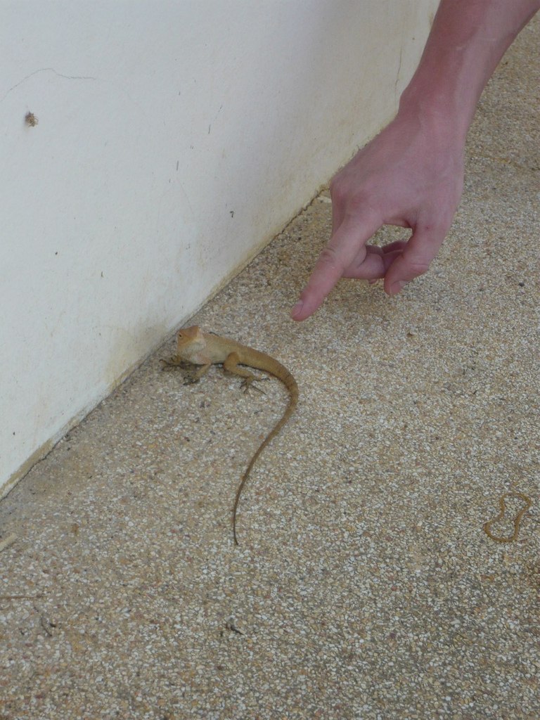 Антон Сеткин | Санкт-Петербург