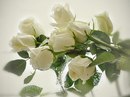 Фотография Аушевой Карины