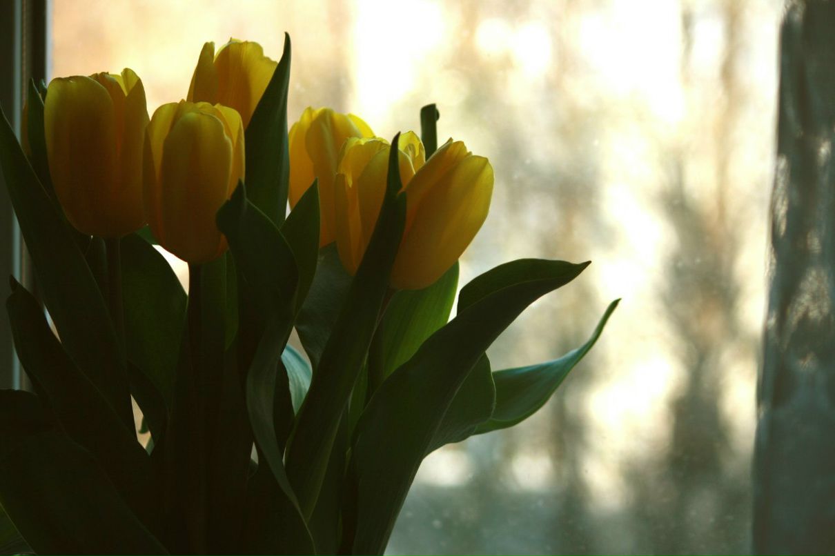 Кристина Минеева | Москва