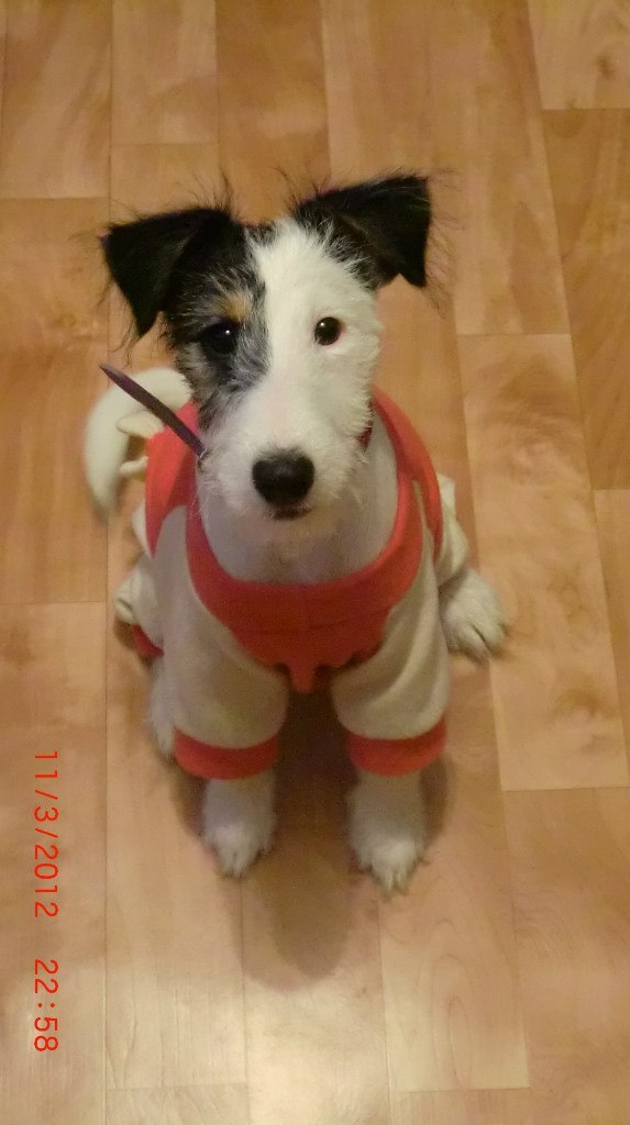 Дмитрий Лободин | Санкт-Петербург