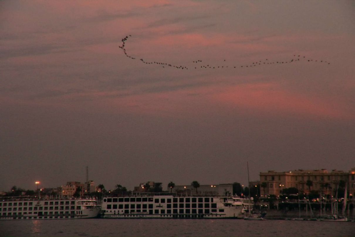 Евгения Блохина | Москва