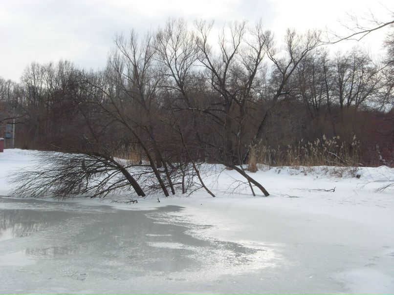 Руслан Чемодуров | Умань