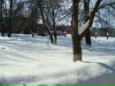 Фотография Светлана Чистова