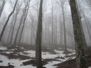 №26 Александр Дарсн