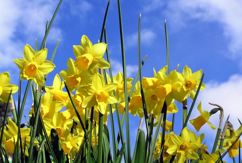 Лариса Коваль | Рига