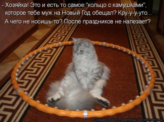 Елена Ватолина | Тольятти