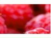 Алла Майкова | Томск