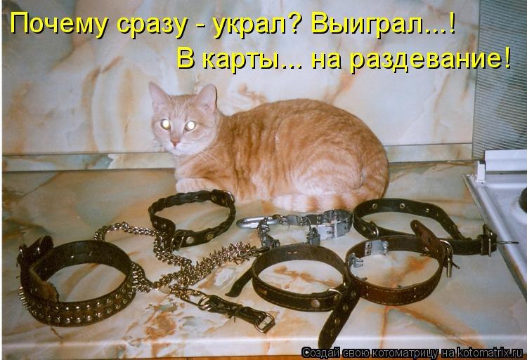 Елена Клескунова | Санкт-Петербург