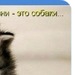 Даша Прыгунова фотография #48