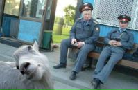 Фотография Дамир Закиров
