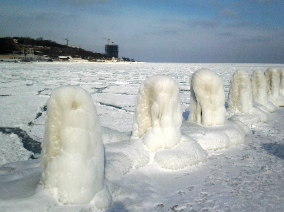 Игорь Холоша | Одесса