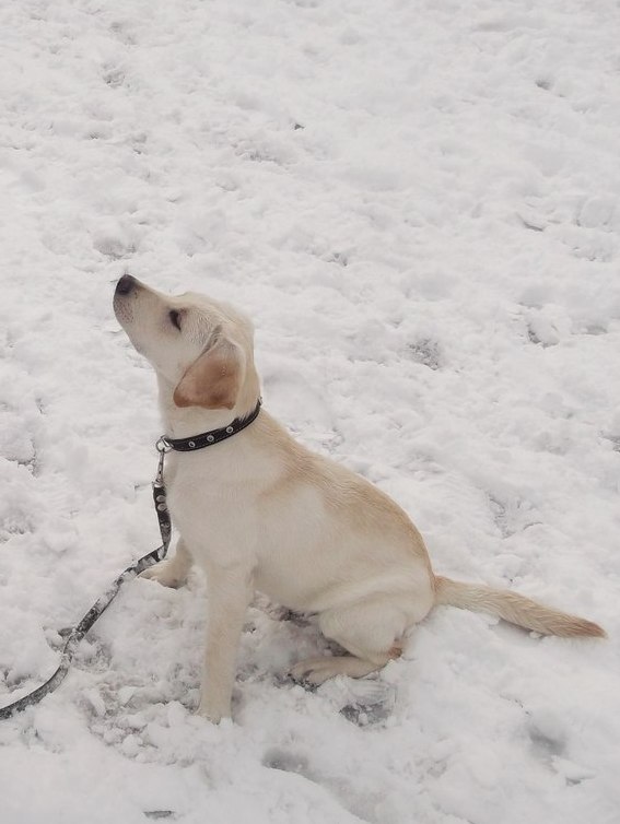 Алина Павлова-Крохмаль | Новороссийск