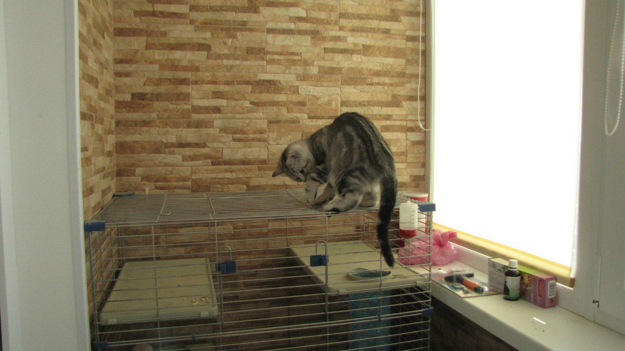 Вероника Кувшинова | Одесса