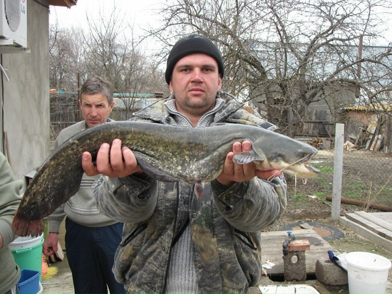 №13, Илья Иванов, 44 года №13, Илья Иванов, 44 года