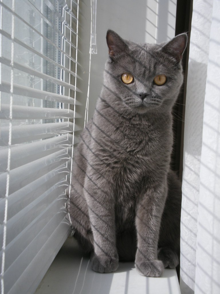 Дмитрий Родионов | Москва