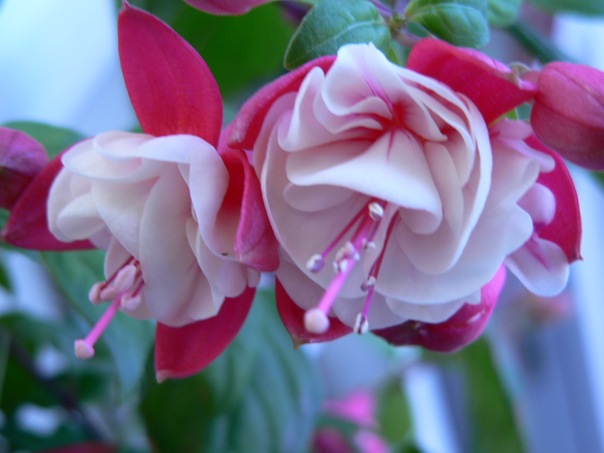 №186, Алекс Емуви, Москва, Россия №186, Алекс Емуви, Москва, Россия