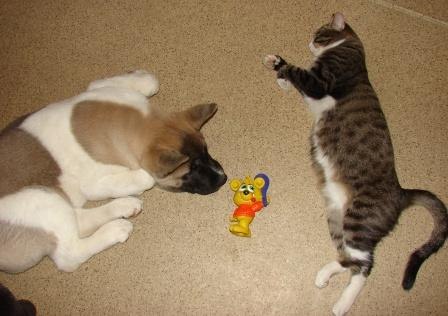 Светлана Добрынина | Иркутск