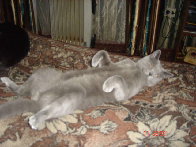 Майя Мореходова | Петрозаводск