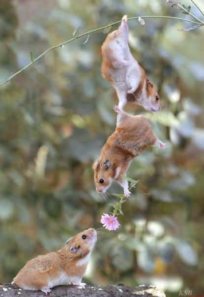 Ольга Наговицына | Йошкар-Ола