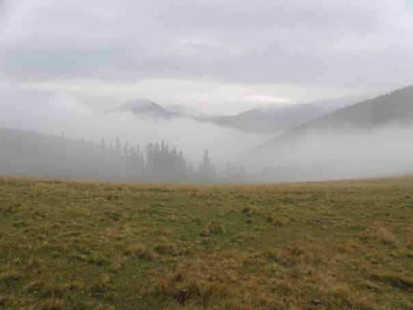 Наталія Тацишин-Войчишин | Ивано-Франковск