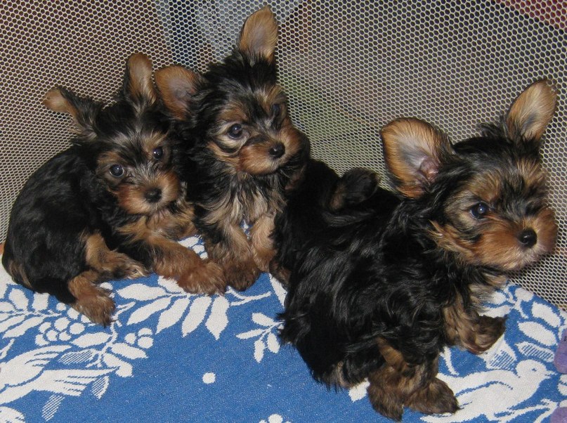 Алина Тухватуллина ♥ alisha ♥ | Салават