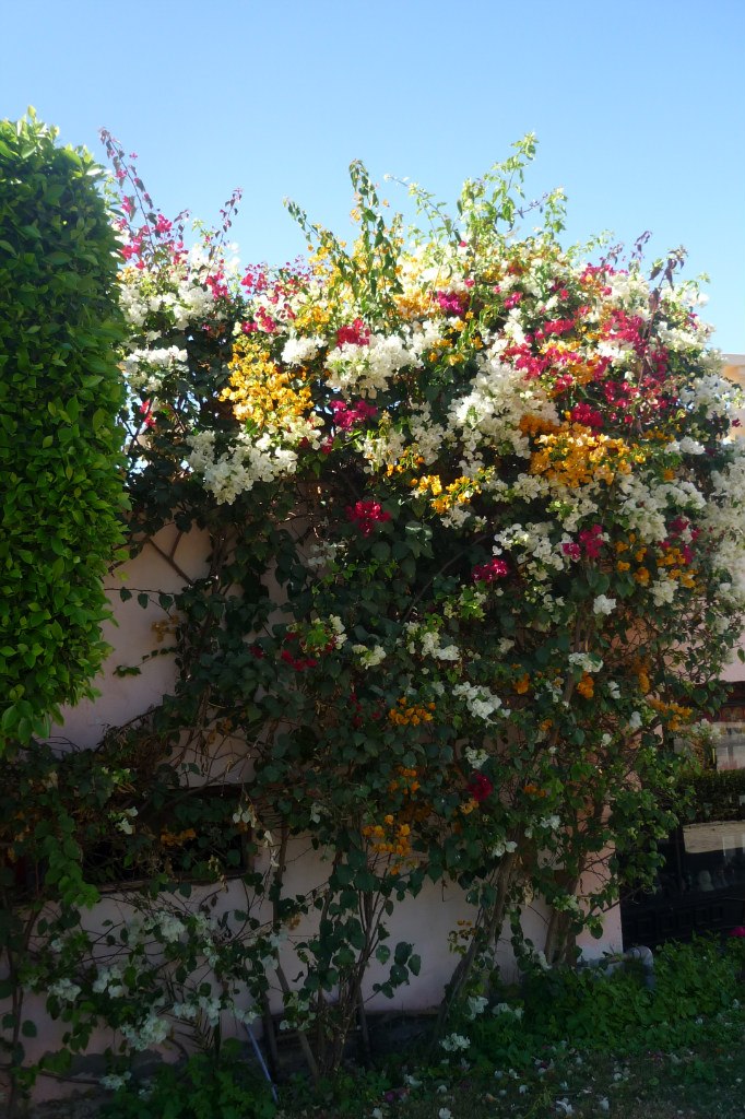 Ольга Барашкова | Новосибирск