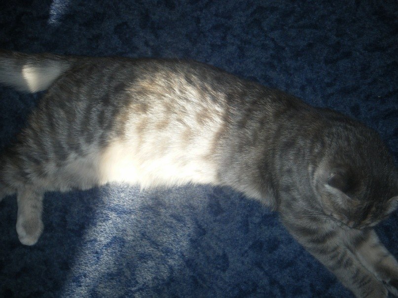 Наташа петушкова-вакарюк | 