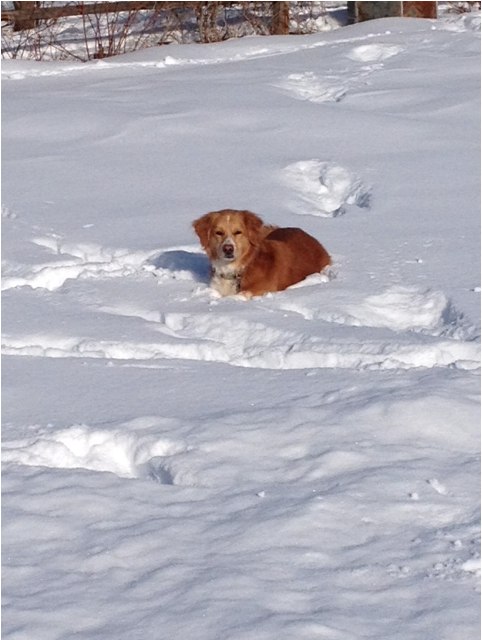 Дмитрий Чёрный | Санкт-Петербург