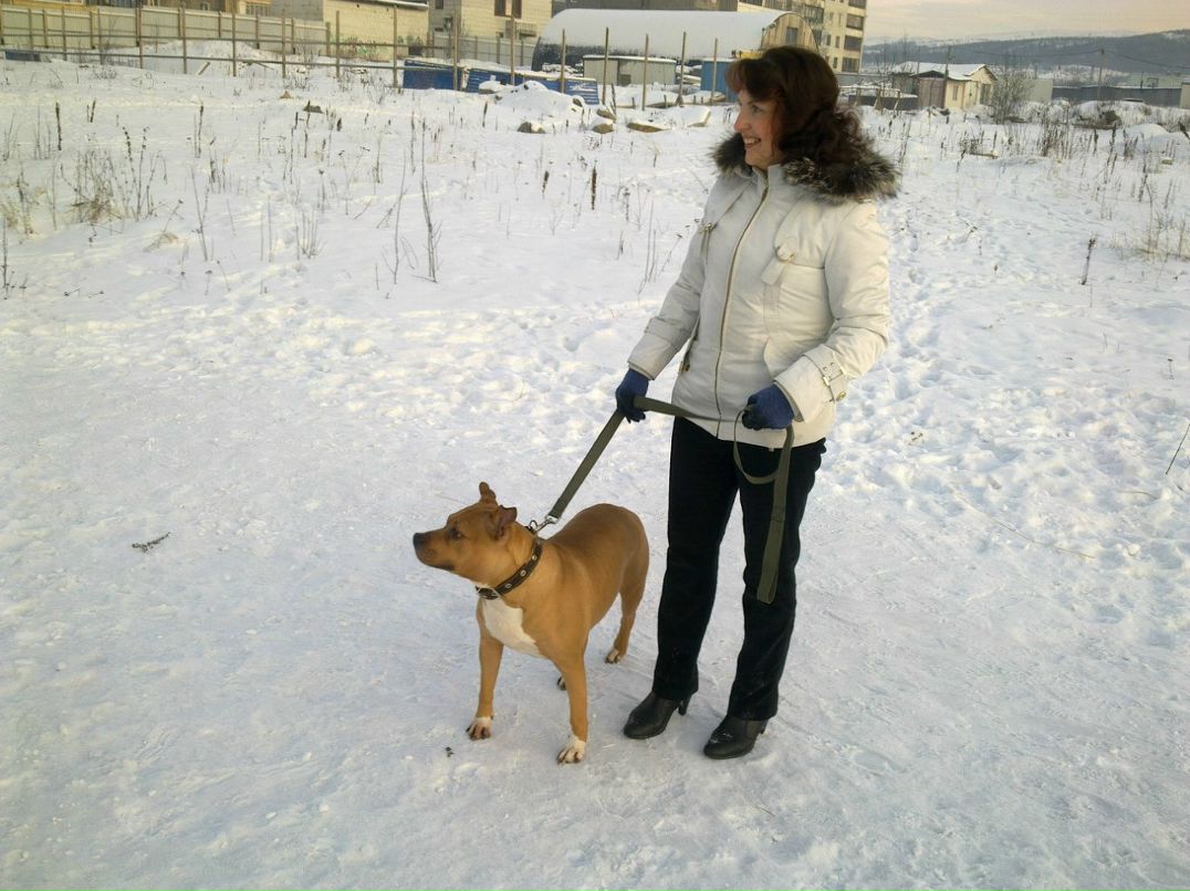 Наталья Алексеева | Санкт-Петербург