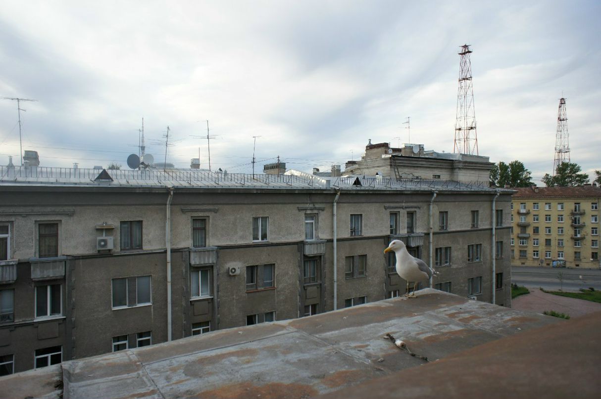 Валентин Грухин | Санкт-Петербург
