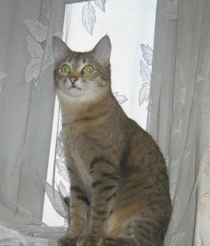 Юлия Тихонова ***самая счастливая*** | Иннополис