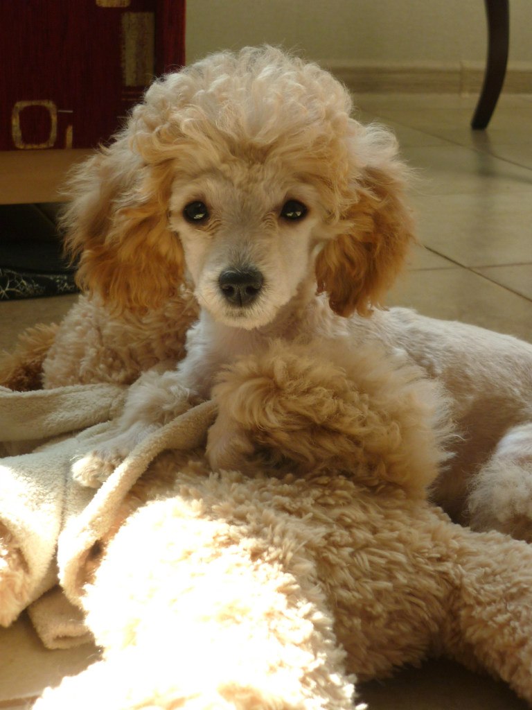 Анастасия Сердитова | Москва