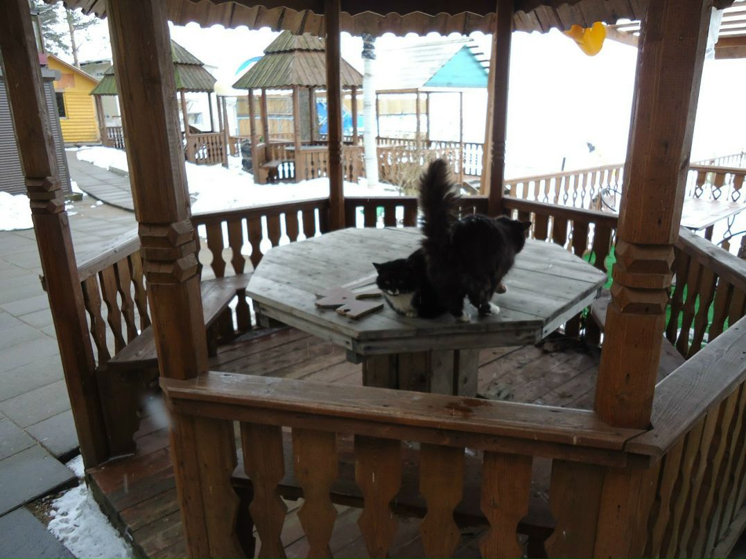 Андрей Мороз | Санкт-Петербург