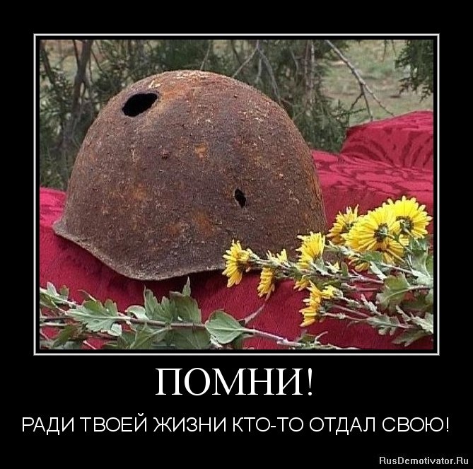 Сергей Матвеев | Курск