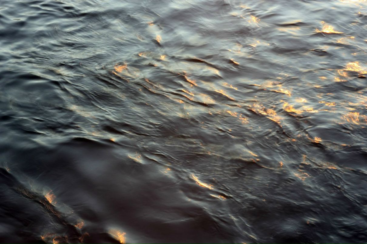 Анастасия Корнишина | 