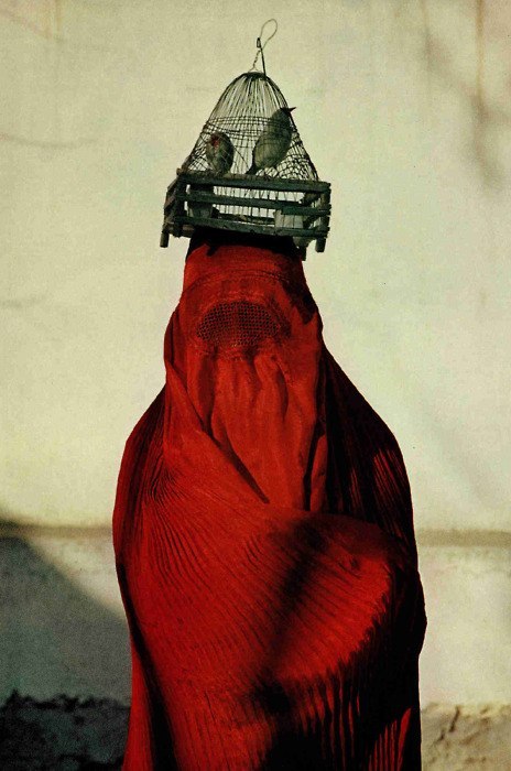 Фея Зинаида | Одесса