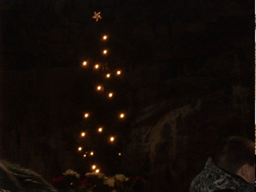 Евгения Косминская | Санкт-Петербург