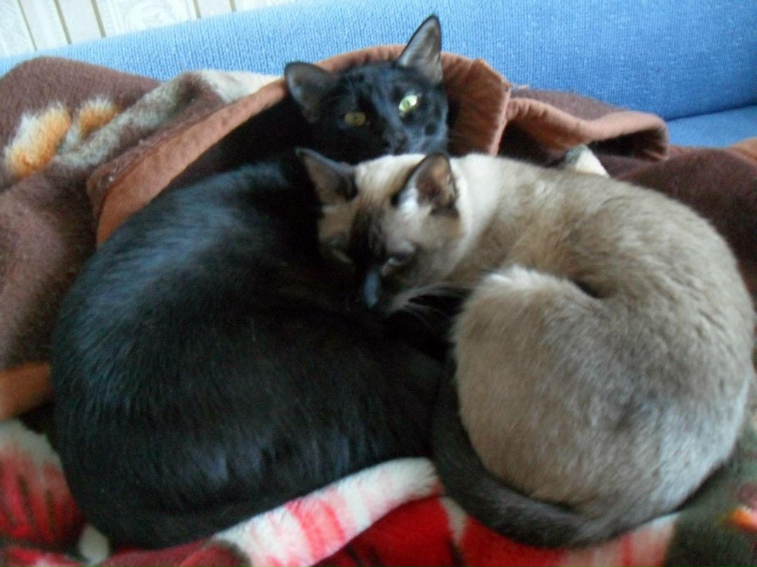 Любовь Чилина | Санкт-Петербург