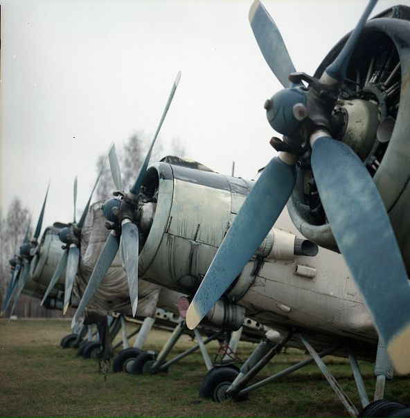 №50, Егор Штефан, Киев №50, Егор Штефан, Киев