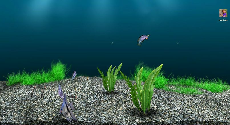 Александр Терёхин николаевич | 