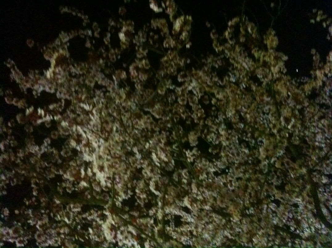 Юрий Савельчев (Розенгауз) אורי | Helsinki