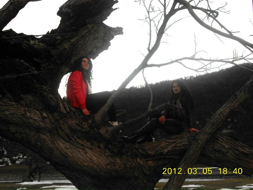 Nini Pavliashvili | Телави