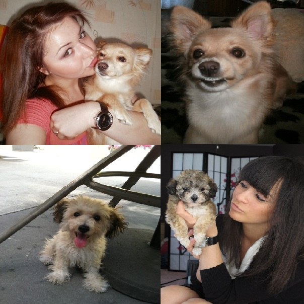 Татьяна Стефаняк | 