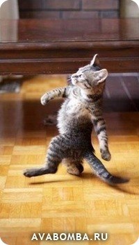 Эмилия Софина | Сосновый Бор (поселок)