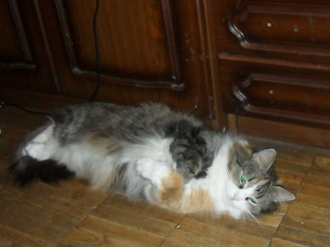 Маша Гусарова | Москва